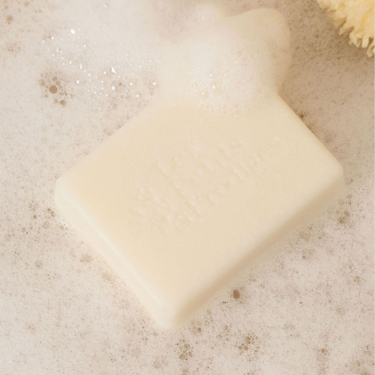Shampoing Solide Amande posé dans une mousse légère