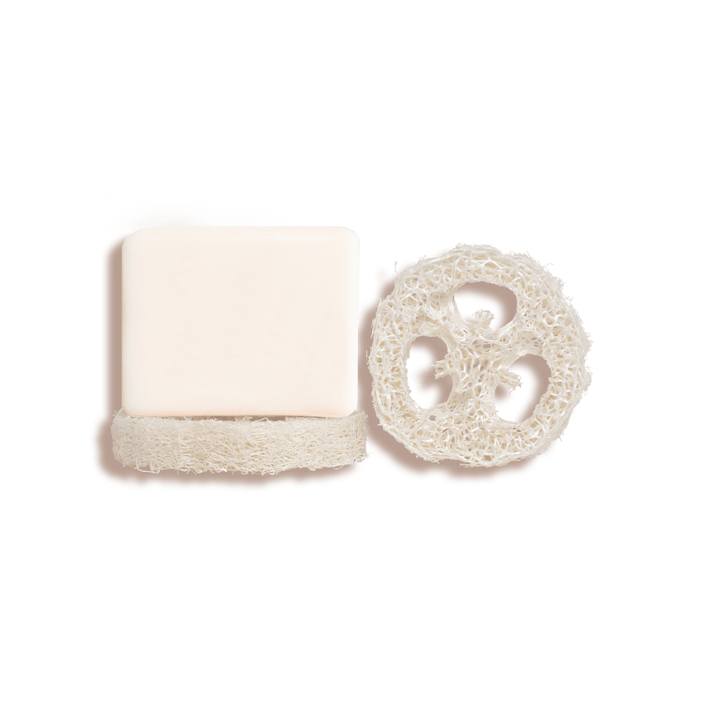 Porte Savon Loofah